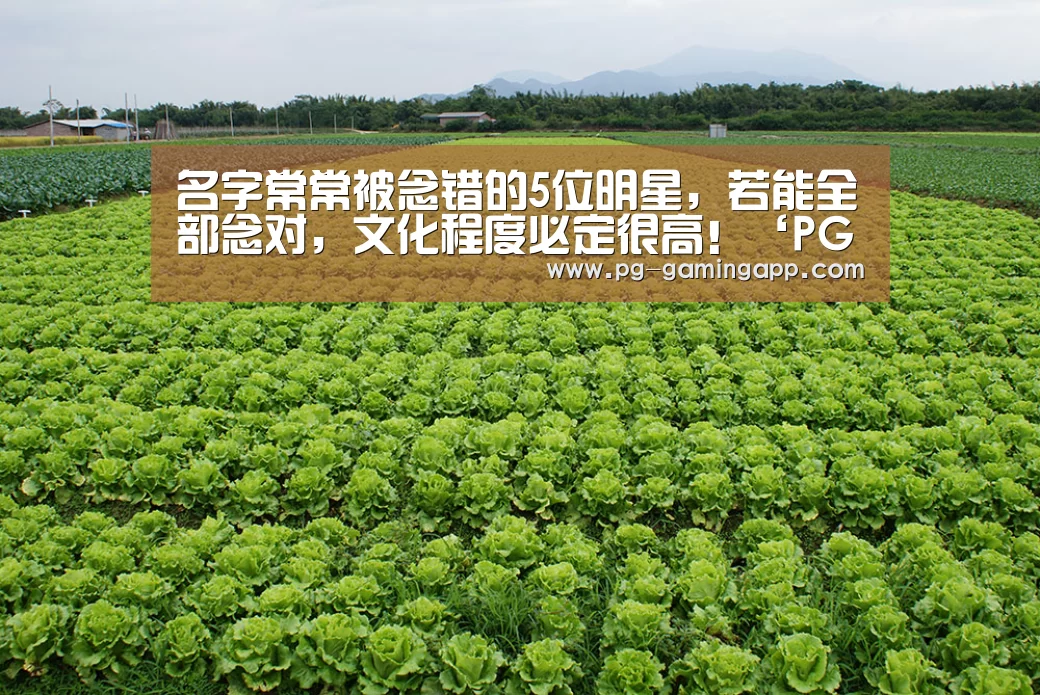 名字常常被念错的5位明星,若能全部念对,文化程度必定很高!‘PG麻将平台’(图2) PG电子平台