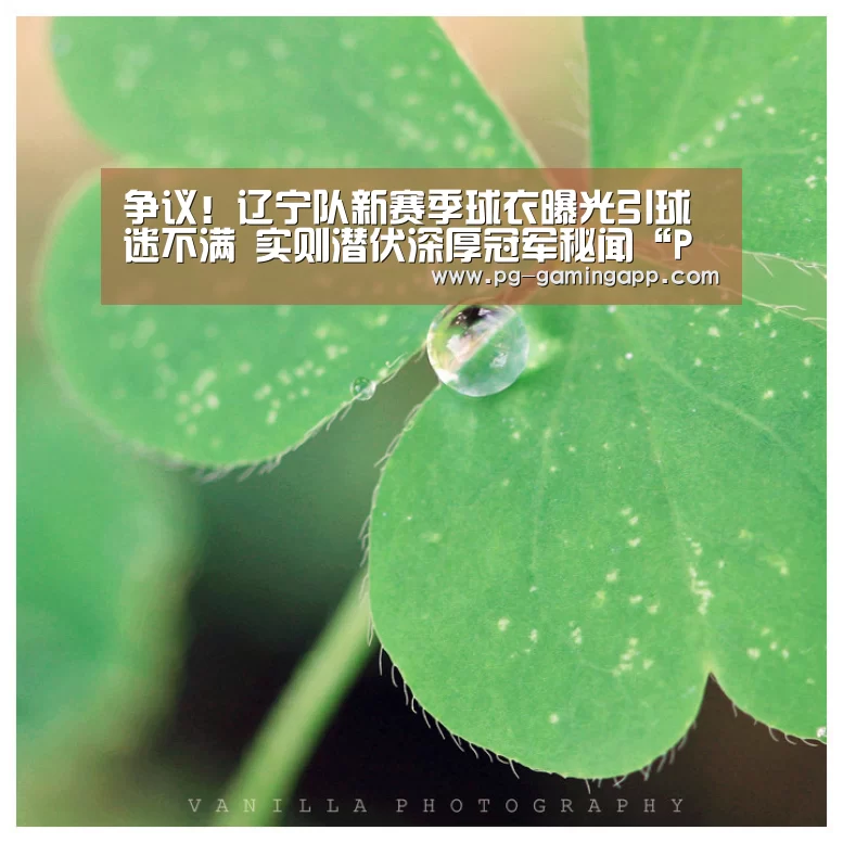 争议!辽宁队新赛季球衣曝光引球迷不满 实则潜伏深厚冠军秘闻“PG麻将平台”(图2) PG电子平台